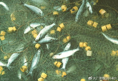 AquaTech 2026 馬來西亞漁業(yè)展覽會 領(lǐng)航漁業(yè)新紀(jì)元，驅(qū)動畜牧漁業(yè)飼料銷售創(chuàng)新